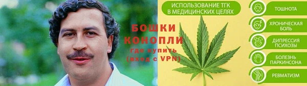 кокаин Белокуриха