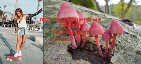 кокаин Белокуриха