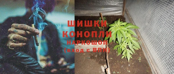 ГАЛЛЮЦИНОГЕННЫЕ ГРИБЫ Белоозёрский