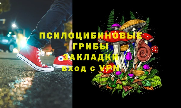 spice Беломорск