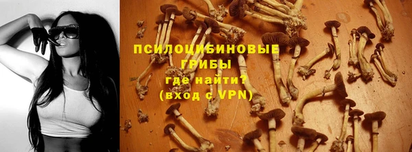 spice Беломорск