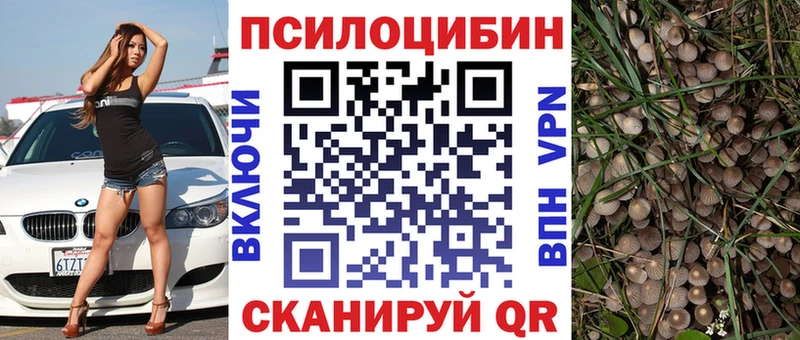blacksprut как зайти  Кувшиново  Псилоцибиновые грибы Cubensis 